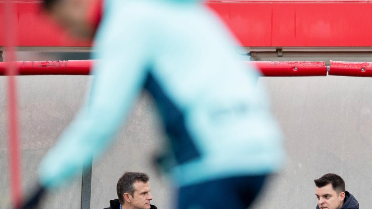 Lille Reclaims Third Place in Ligue 1 After Dominant Victory Over Toulouse