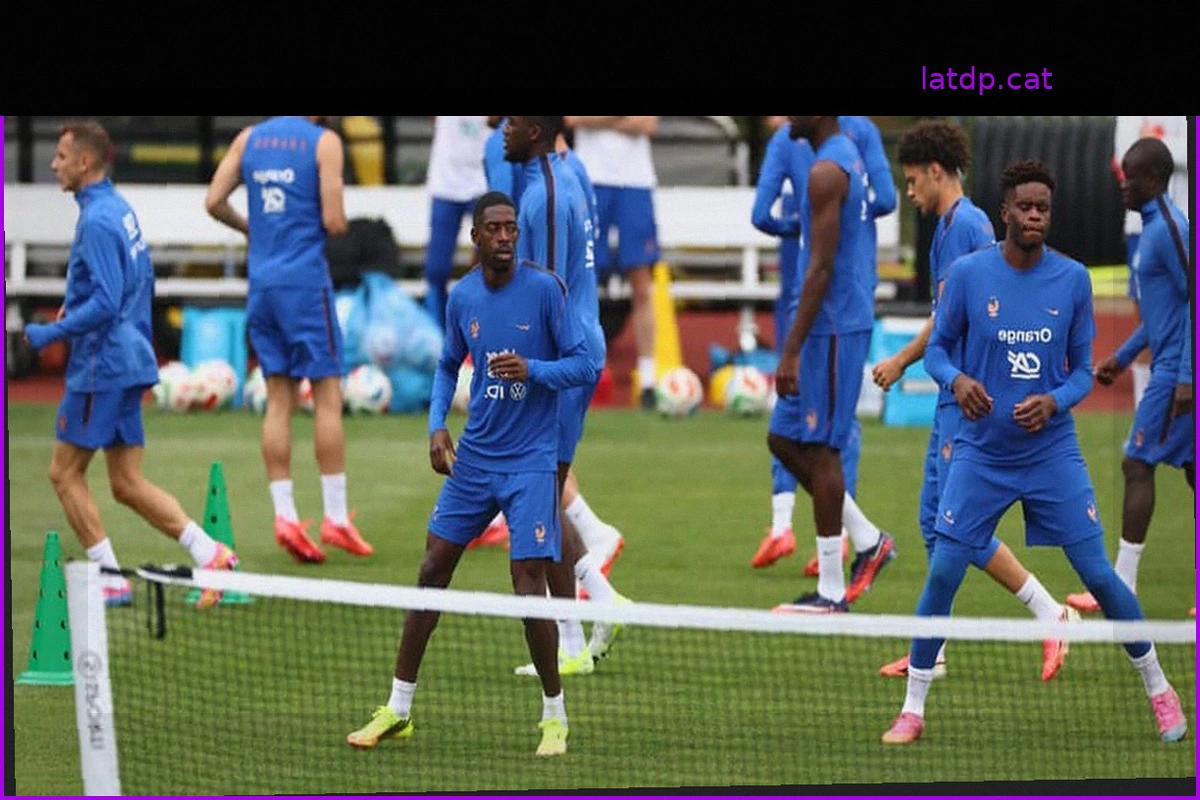 French National Team: A Newcomer at the World Cup? "I Don't Think So," Warns Stéphan