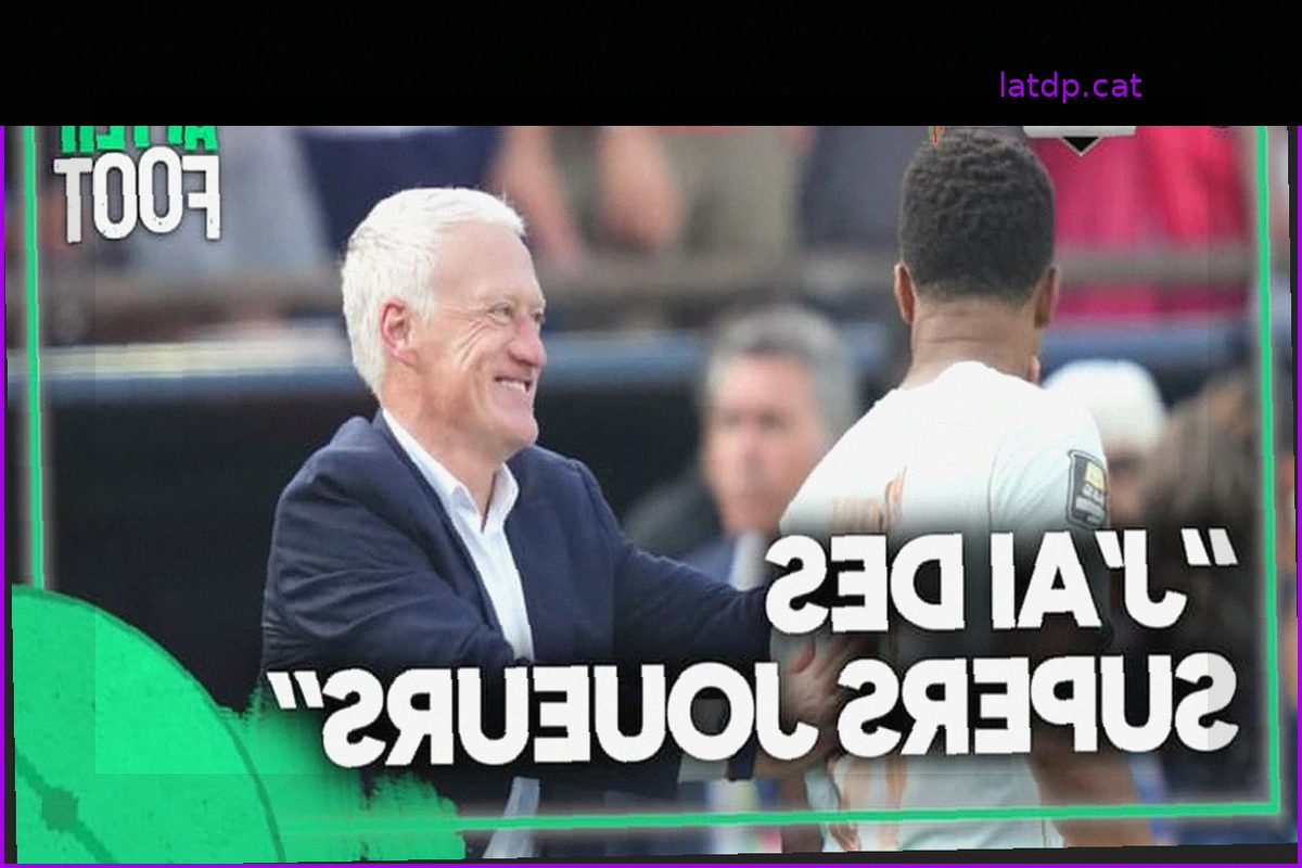 FC Metz Supporters' Frustration with the Endless L1-L2 Cycle: "We Only Truly Enjoy One Year Out of Two"